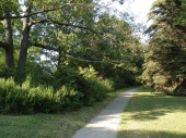 DSC08242.JPG